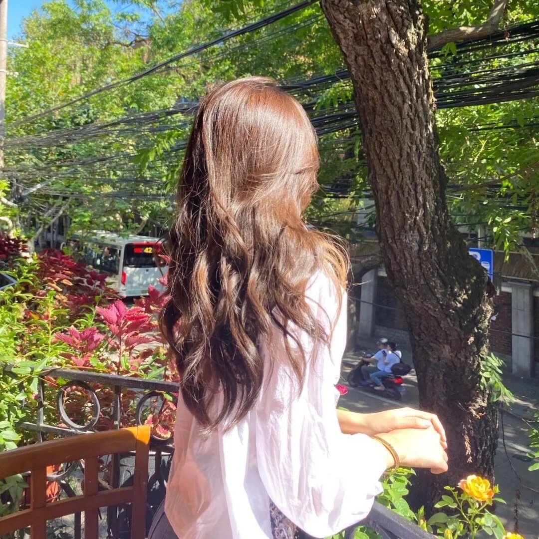 绝望主妇第四季免费在线观看