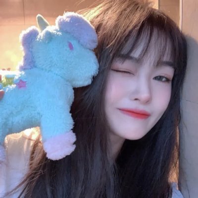 鬣狗式生存免费在线观看