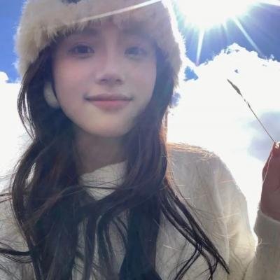 小狗吉米走私事件